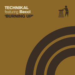 Burning Up (feat. Becci)