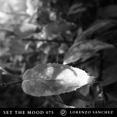 Lorenzo Sanchez - Set the Mood 075 (Oefenmeesters)