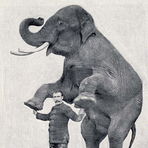 dancing with my elephant