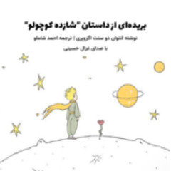 کتاب صوتی شازده کوچولو | بخشی از نریشن با صدای من