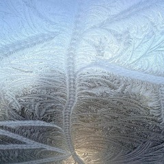 Frost