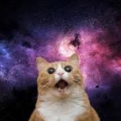 Meowinus - Prr Anger VIP