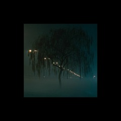 DARK LIGHT [instrumental.]