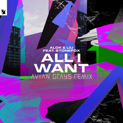 All I Want (AVIAN GRAYS Remix) [feat. Stonefox]