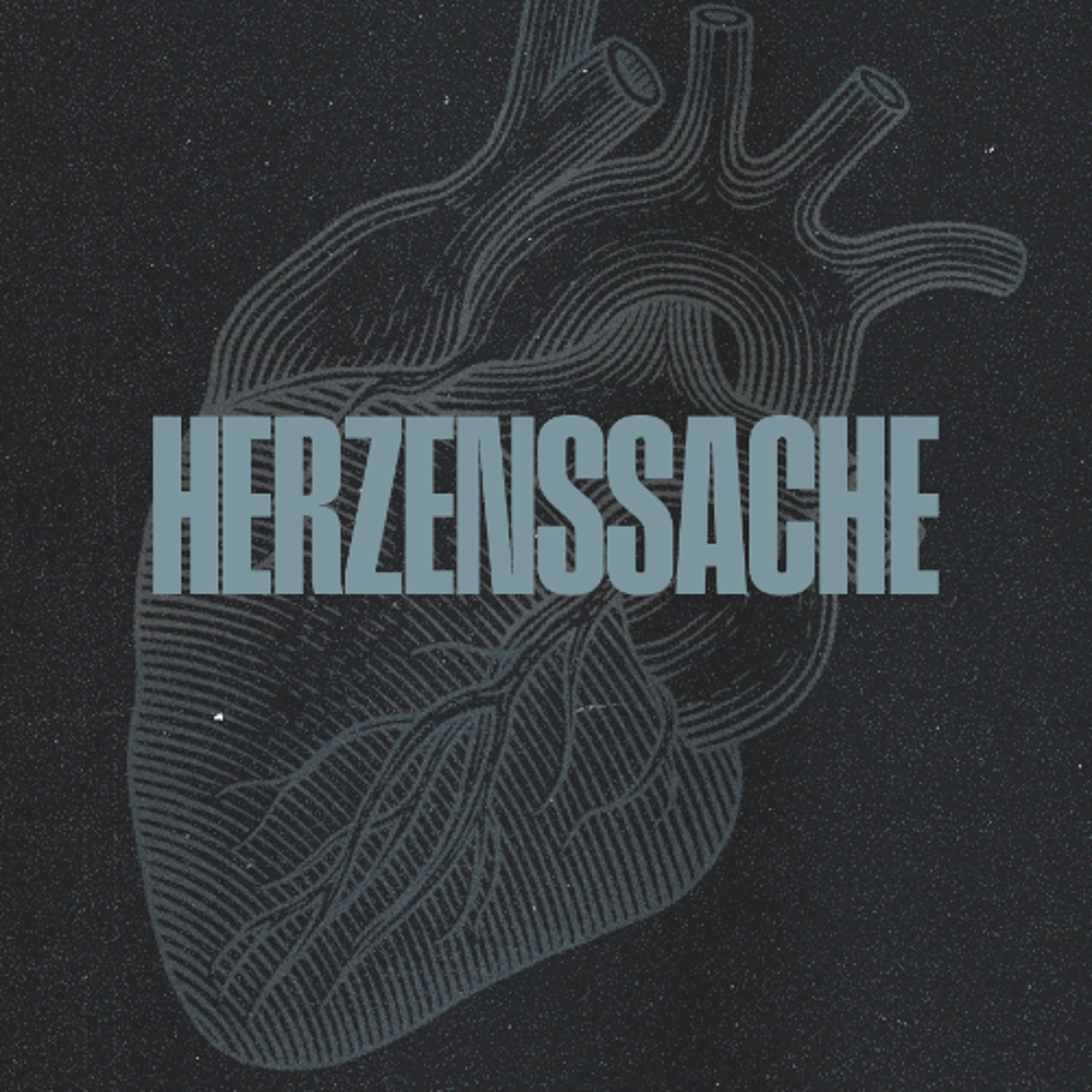 Audio-Podcast #48 // Herzensache - // 05.04.26