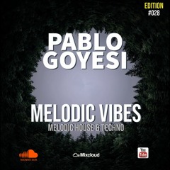 Melodic Vibes 028 (Melodic House & Techno)