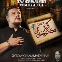AKBAR (a.s) MAIN MAR JAWANGI  --  Vichora  --  Syed Mohammad Shah  --  2024
