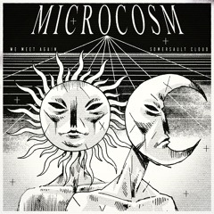 Microcosm - We Meet Again
