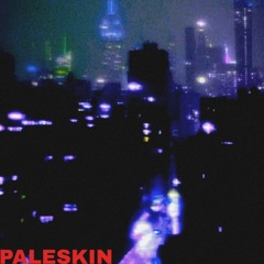 PALESKIN