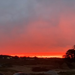 JEROME Presents Digital Aquatics #3 w/ aheloy (11/10/22)