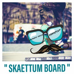 Skaettum Board