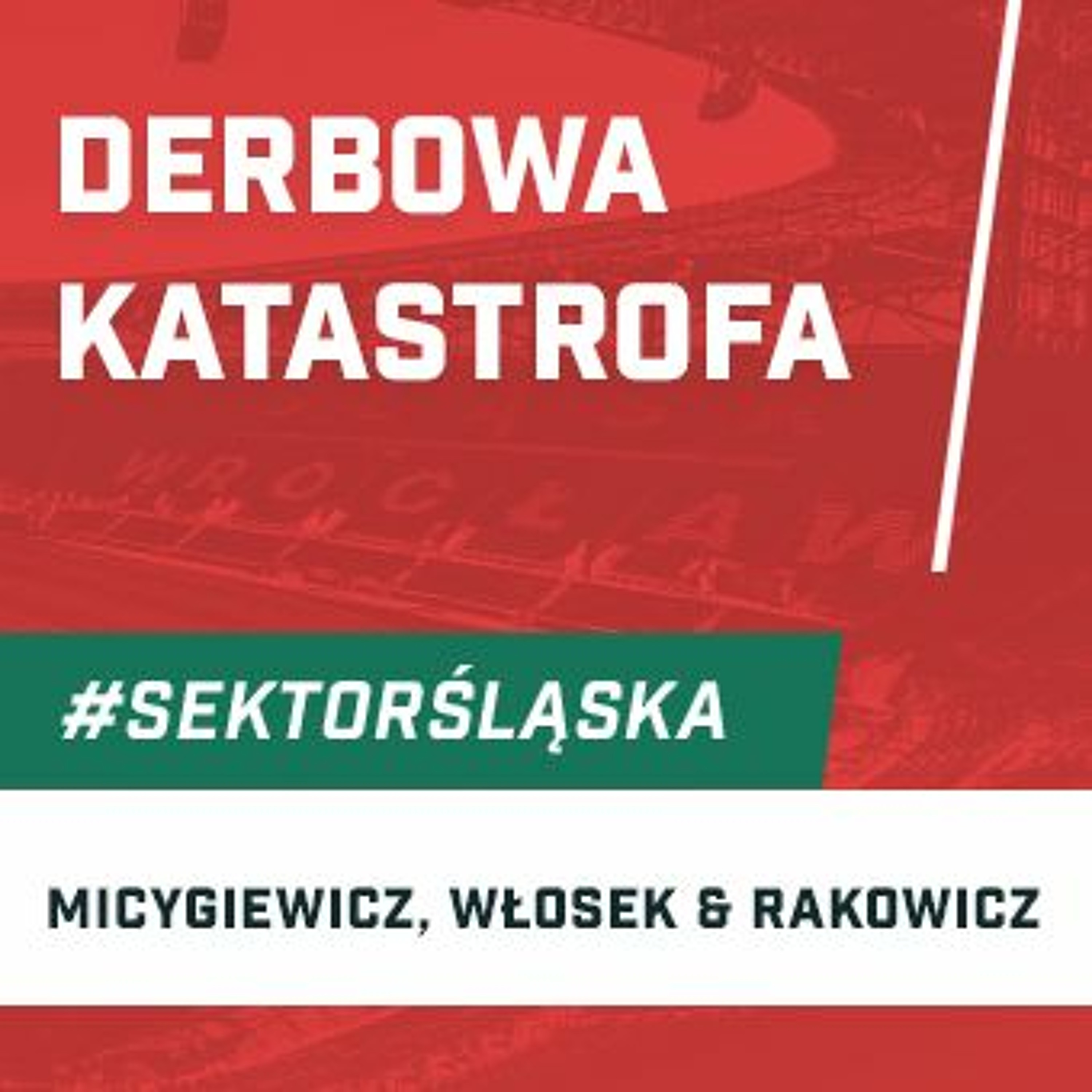 Śląsknet