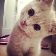 you’re always on my mind ;3