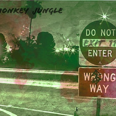 Wrong Way