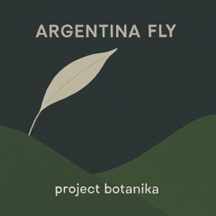 argentina fly