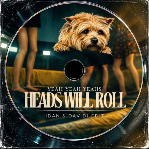 IDAN & DAVIDI - Heads Will Roll (2026 Edit)