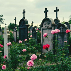 aperfectwound (feat. PASTELAUDIO)