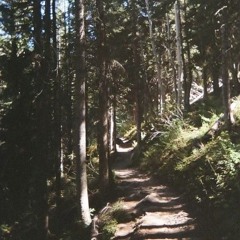 Majestik Prod. TAYEREAL