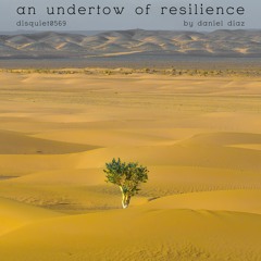 An Undertow Of Resilience (disquiet0569)