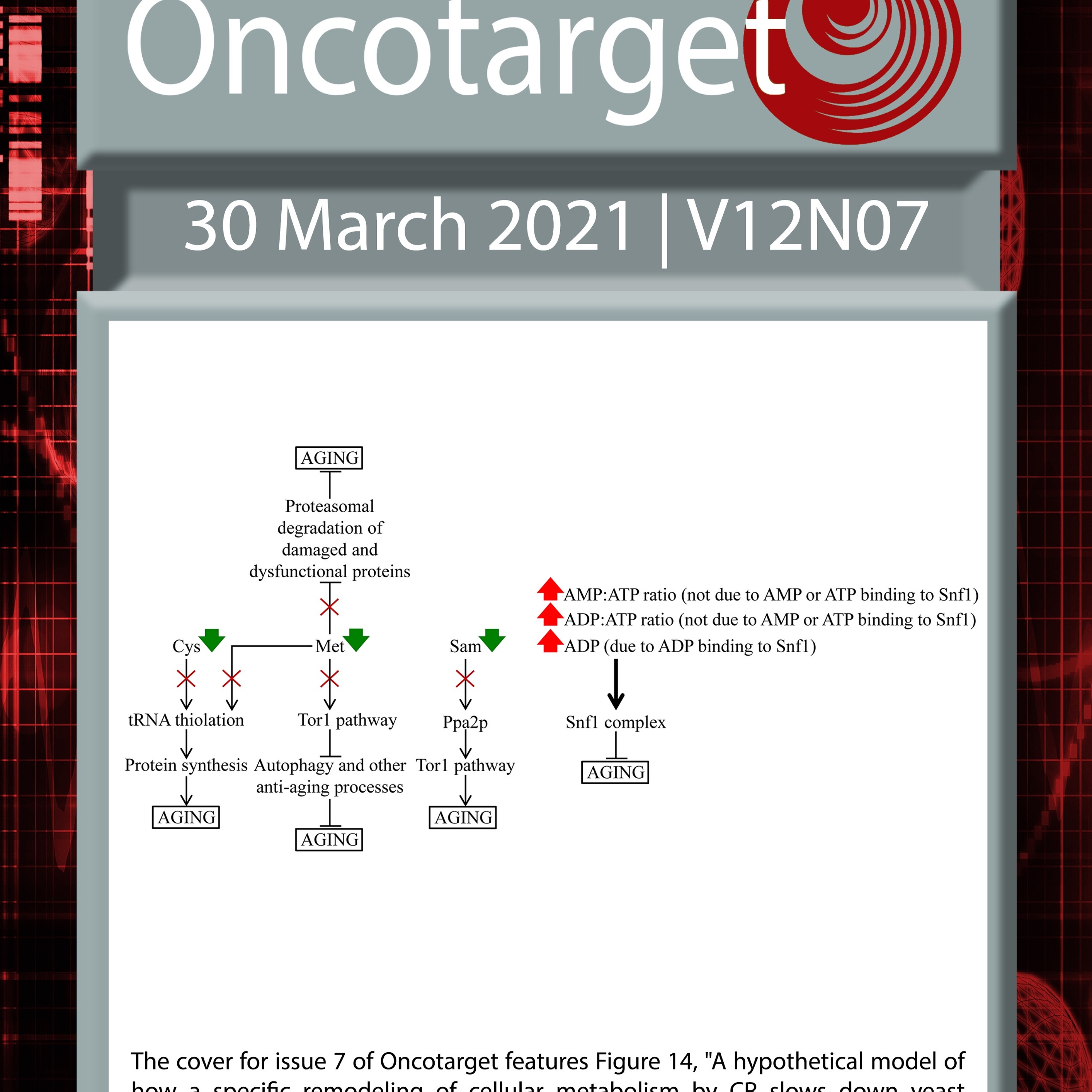 Oncotarget