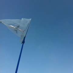 honestly idek anymore