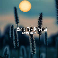 Cinta Tak Direstui