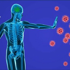 Autoimmune Disorder Relief | Reduce Pain, Inflammation, and Skin Rashes & Safeguard Healthy Tissues