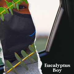 Eucalyptas Boy