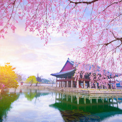 cute__loop_in_korea_launage (1)