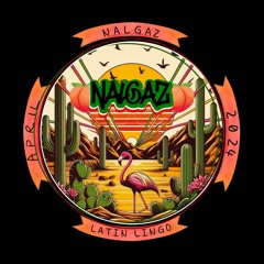 Latin Lingo(NALGAZ Debut Promo Mix)