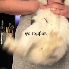 Pink Floyd Freestyle