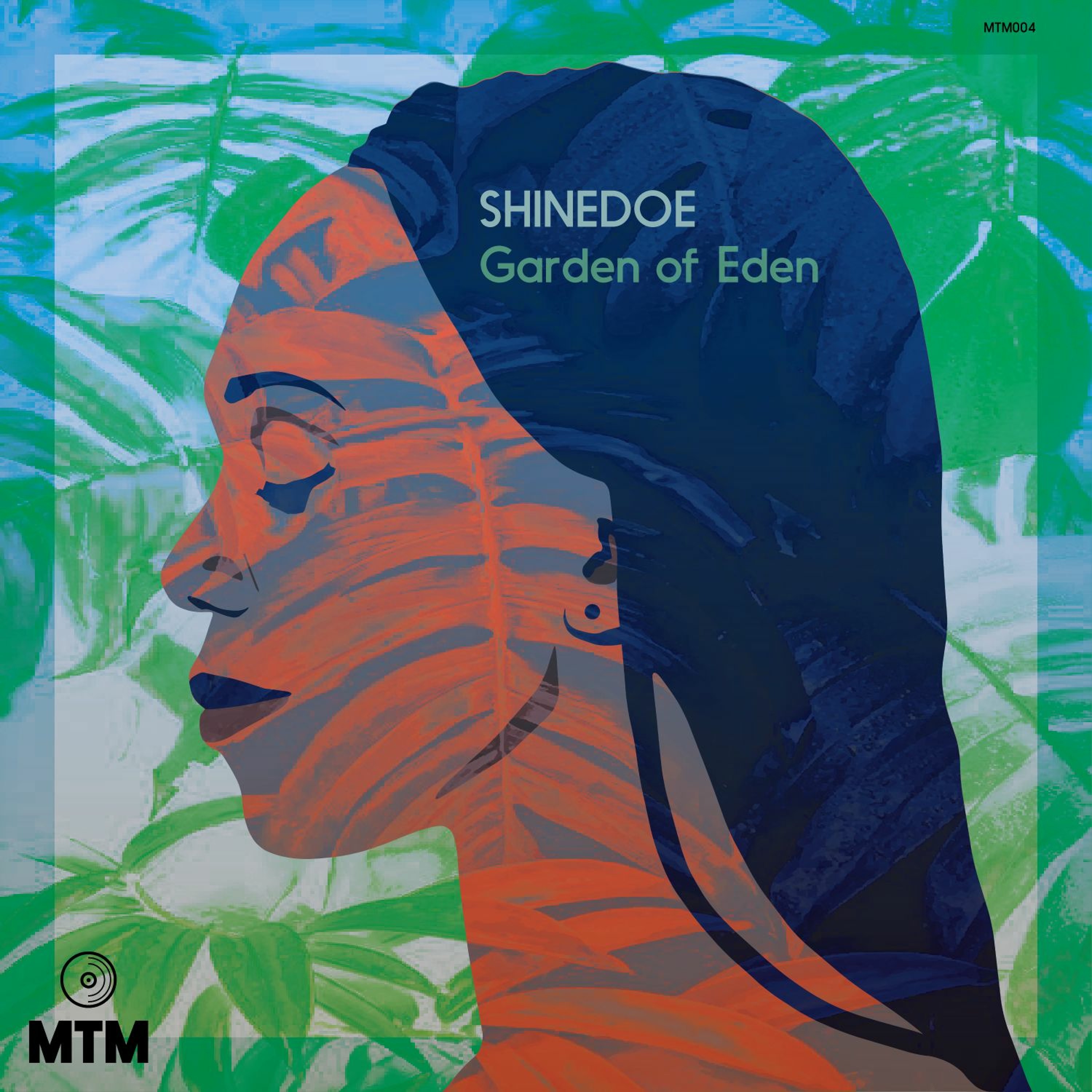 Shinedoe