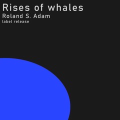 Rises of whales (Acid Alina Edit) free download