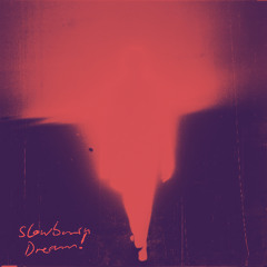 Vivid Dreams