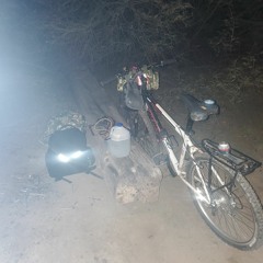 Training Mode