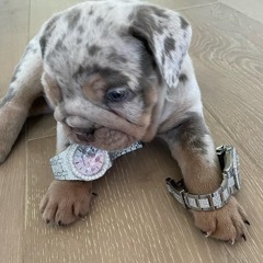 Walked Into Space (feat. Lil Uzi Vert)