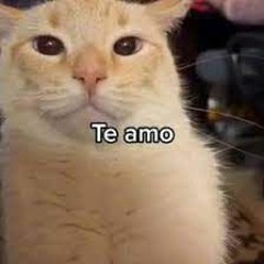 MIDTRONICS - LEVIOLCMAL [FT - leBIGziizii}