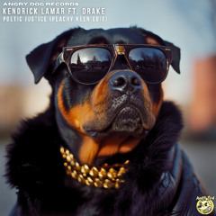 Kendrick Lamar feat. Drake - Poetic Justice (Peachy Keen Edit) Free Download