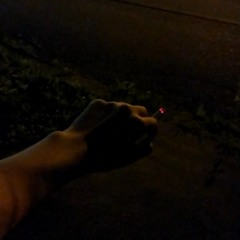 蜥蜴 - うるせぇ