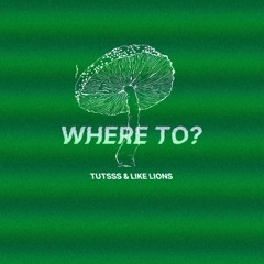 Like Lions & Tutsss - Where To?
