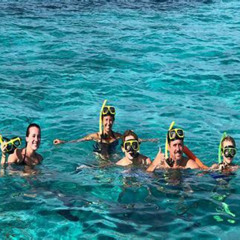 Best Snorkeling Trips To Alligator Reef Prices Reviews