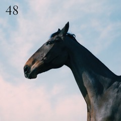 48 (feat. Jay Prince)