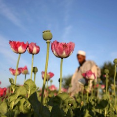 meilner x hurn x jonny5 type beat "OPEN BORDER" prod. burnout