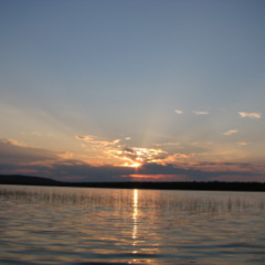 I'll Meet You in the Morning