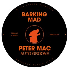 Auto Groove - Peter Mac
