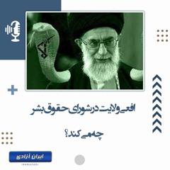 افعی ولایت در شورای حقوق‌بشر چه می‌کند؟