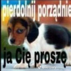 MUZA do BEZBLOCZA  ᕕ(︶‿︶)ᕗ !!%*@)&*^??!! | DJ Kartusia