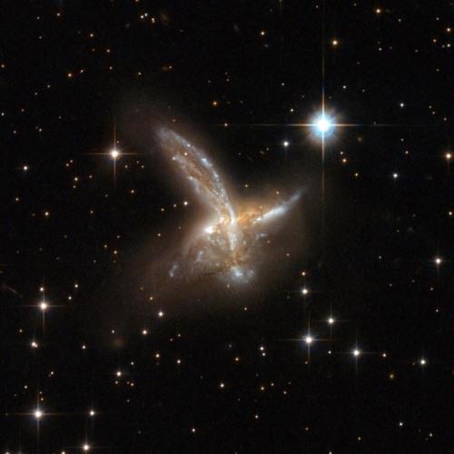 Set fire to the rain Adele || Tiktok remix