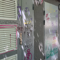 Afterlife Ark Patrol Remix  - XYLØ