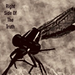 Right Side of the TRUTH w/Rob Olsson